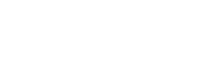 L'esense Group Ltd
